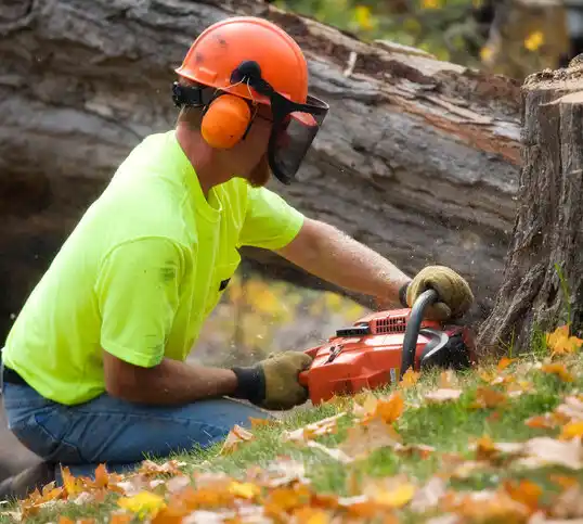 tree services Sonora